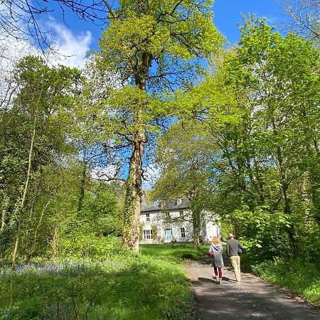 Blackhill Woods Retreat 아베일렉스 외부 사진