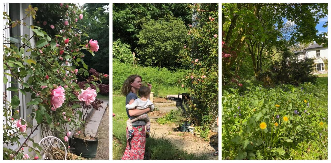Blackhill Woods Retreat 아베일렉스 외부 사진