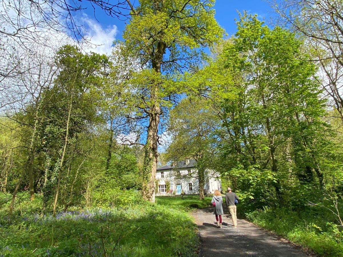 Blackhill Woods Retreat 아베일렉스 외부 사진