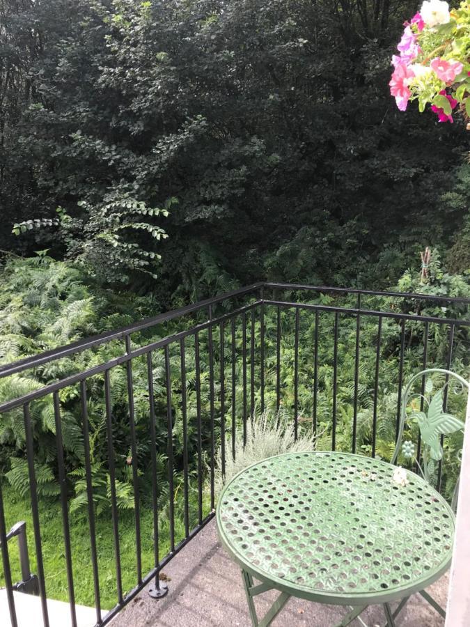Blackhill Woods Retreat 아베일렉스 외부 사진